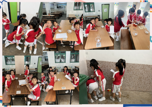Primary 2 – DIY Compasses