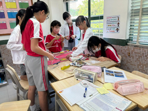 Primary 6 Collaborative STEM Project