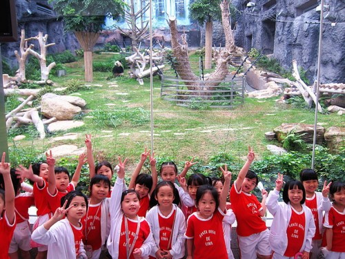23 May_P1 Students_Macau Giant Panda Pavilion